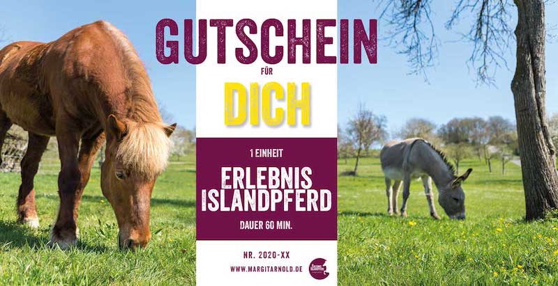 Gutschein_MargitArnold_2020 Erlebnis Islandpferd