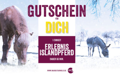 Wertvolles zu Weihnachten
