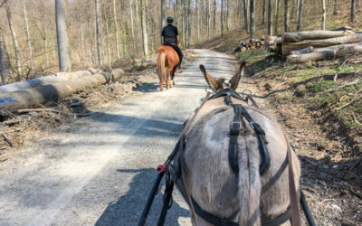 Ostern in Eberstadt
