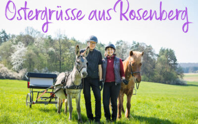 Kein Ostern ohne Osterhase !