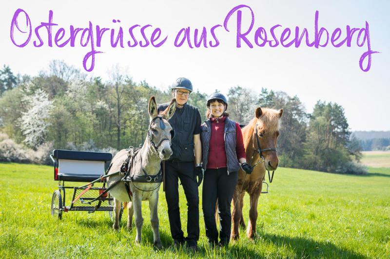 Kein Ostern ohne Osterhase !