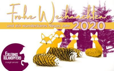 Frohe Weihnachten 2019