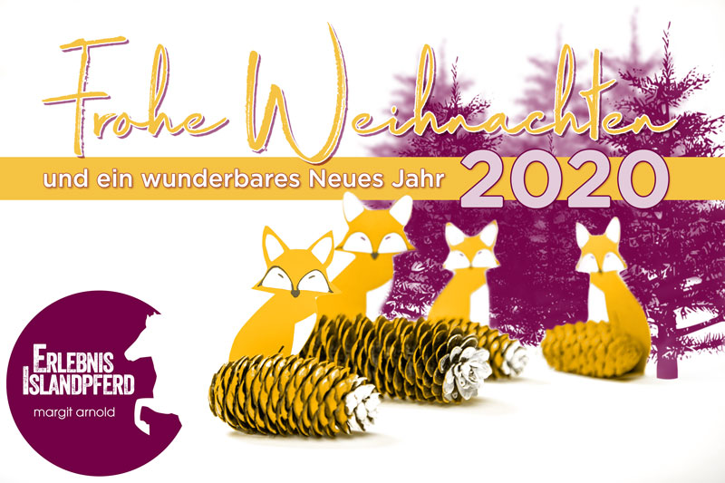 Frohe Weihnachten 2019