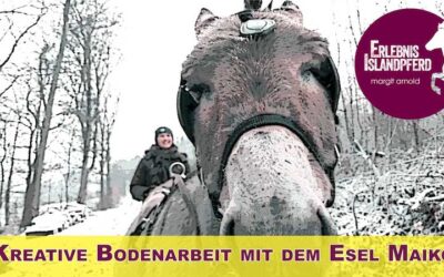 Maiko und die kreative Bodenarbeit