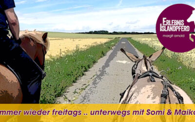 Immer wieder freitags …