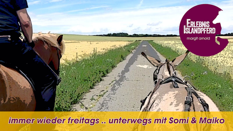 Immer wieder freitags …