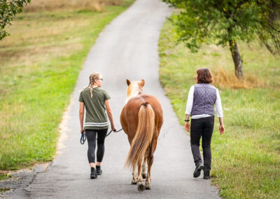 Pferdegestütztes Coaching
