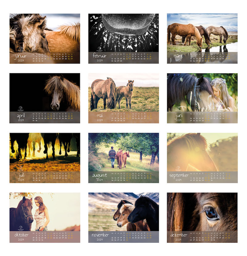 Kalender Islandpferde 2019 - Axel Dressel