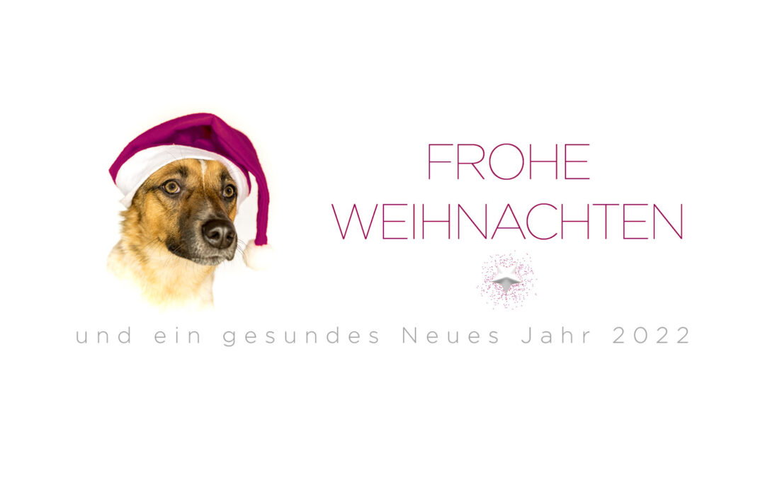 Weihnachtsgrüße 2021