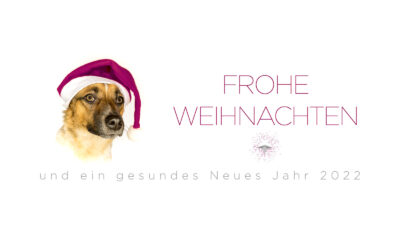 Weihnachtsgrüße 2021