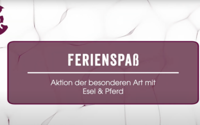 Ferienspass für Gross und Klein