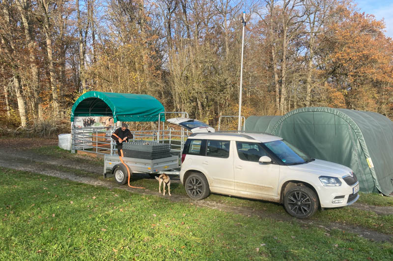Der Paddock wird optimiert